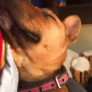 Meet your Posher, Jonathan